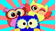 Crazy Owls Puzzle - дата выхода для Android