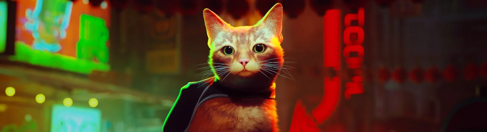 Моды и скины для Stray