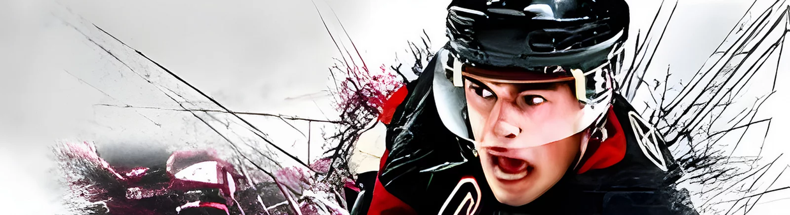 Лучшие игры, похожие на NHL 11