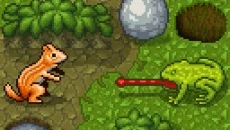 Chipmunk's Adventures