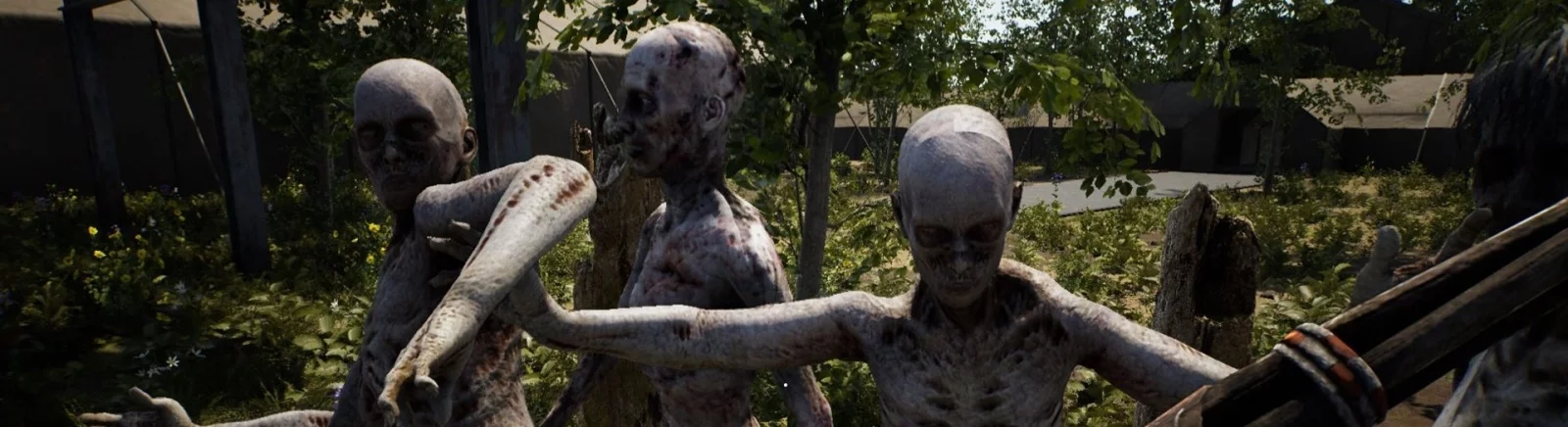 Форум The Infected