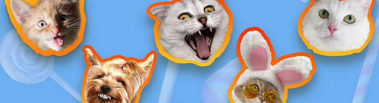 Candy Cat - что это за игра, трейлер, системные требования, отзывы и оценки, цены и скидки, гайды и прохождение, похожие игры 