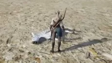 Don't Starve Together похожа на Don't Starve Together