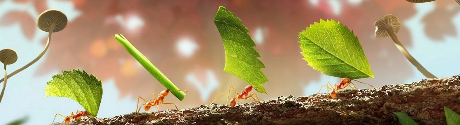 Форум The Ants: Underground Kingdom