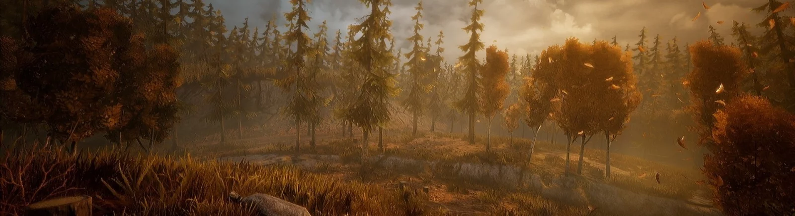 Wandering Wolf - что это за игра, когда выйдет, трейлер и видео, системные требования, картинки, цена, похожие игры 