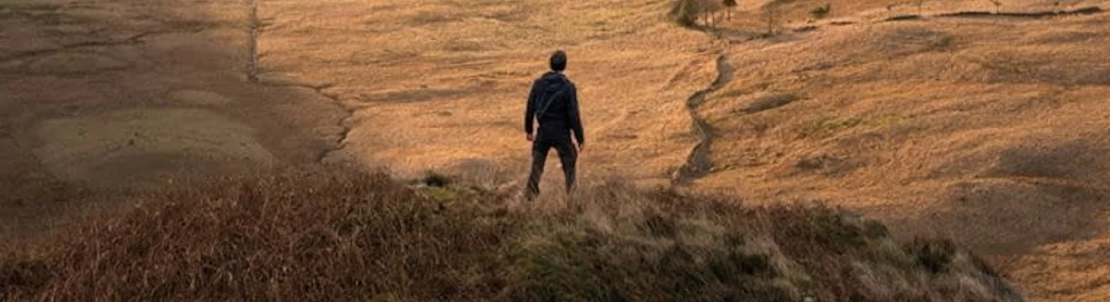 Open Country — Трейнер (+16) [1.0] / Трейнеры / Читы