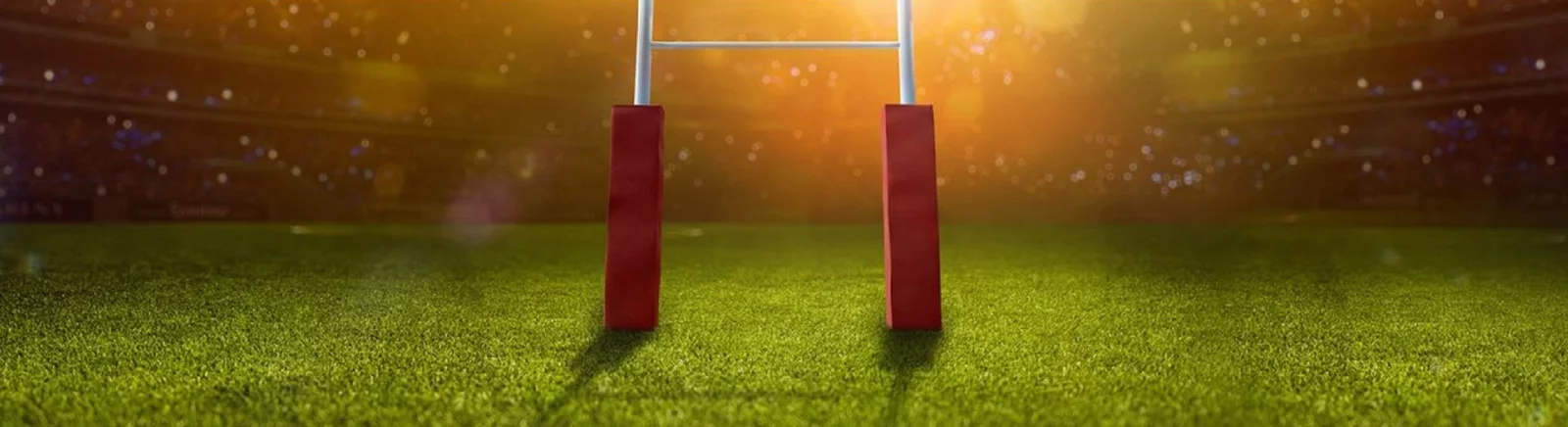 Цитаты из Rugby 22