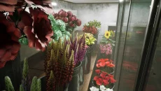 Reminiscence похожа на Reminiscence