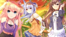 Fluffy Store - дата выхода для Mac