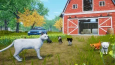 Cat Simulator: Meow - дата выхода