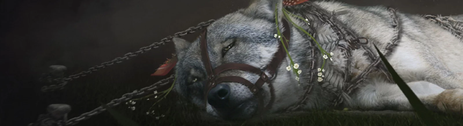 Дата выхода Soulframe в разных странах мира