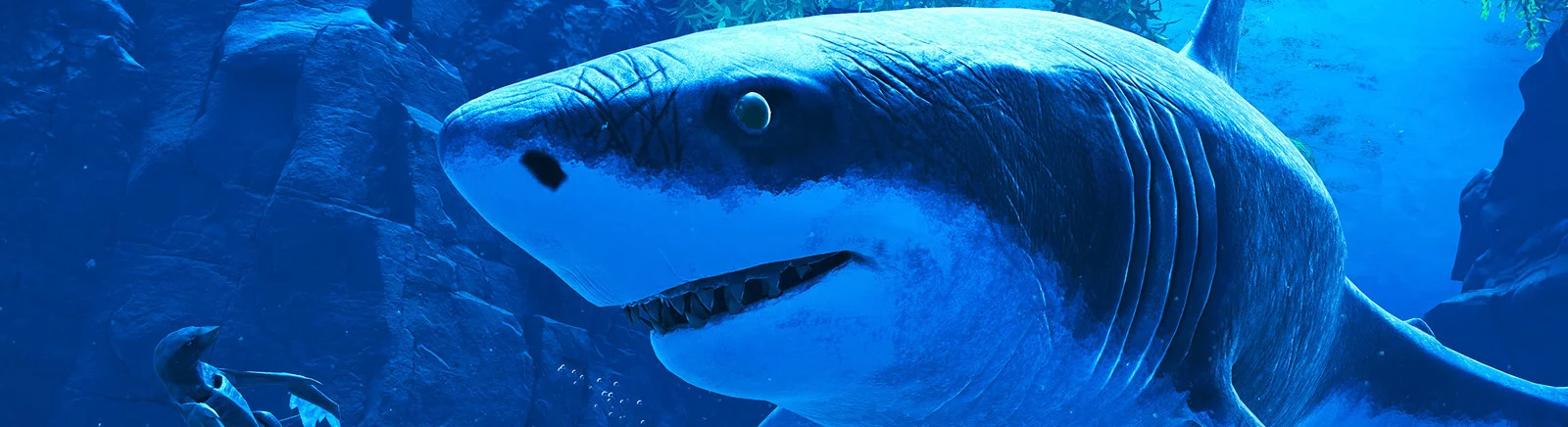 Glaciered - что это за игра, когда выйдет, трейлер и видео, системные требования, картинки, цена, похожие игры 