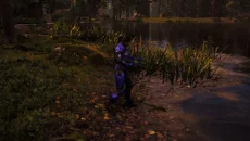 Paragon похожа на Paragon