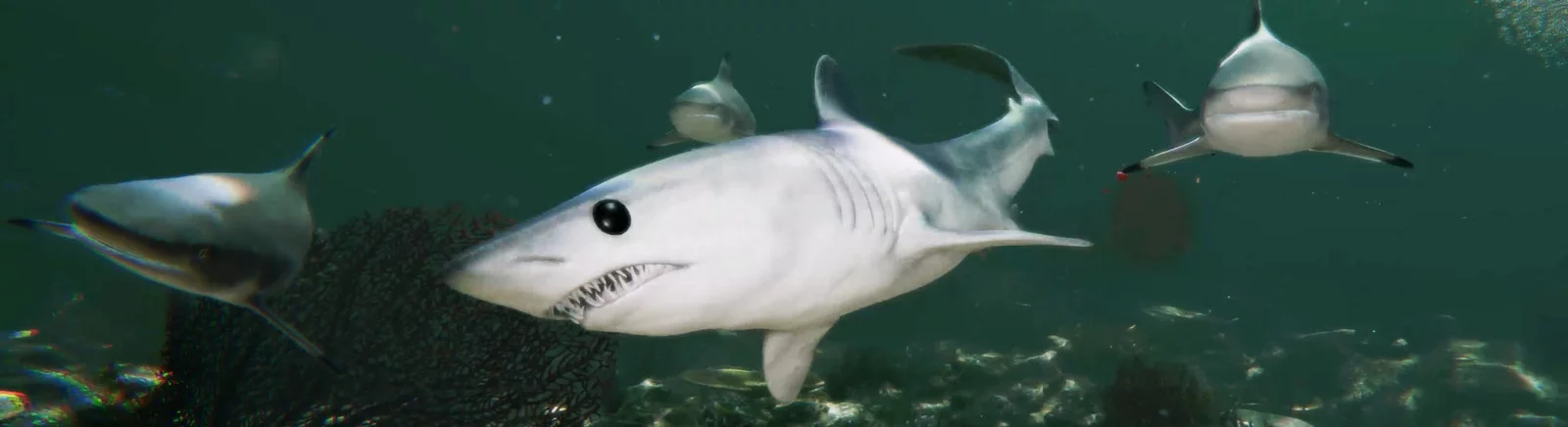 Файлы для Death in the Water 2 - трейнеры, моды, сохранения, патчи