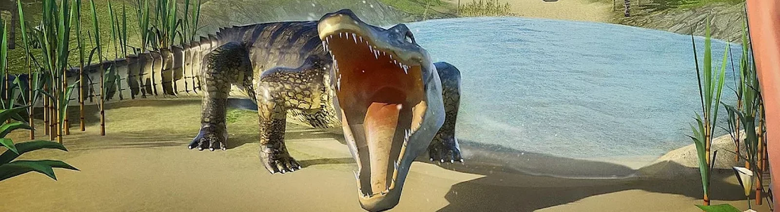 Дата выхода RUSTY: Island Survival в разных странах мира