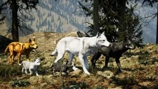 The Cenozoic Era - дата выхода для PC