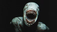 Passed Out - игра в жанре Королевская битва