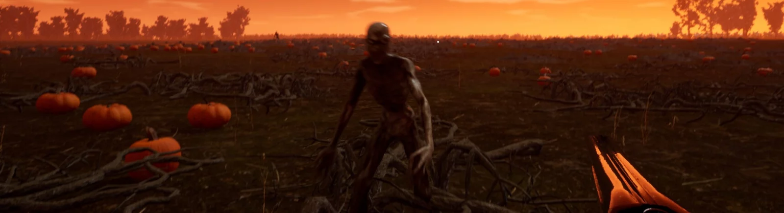 Hallowed Pumpkins - что это за игра, трейлер, системные требования, отзывы и оценки, цены и скидки, гайды и прохождение, похожие игры 