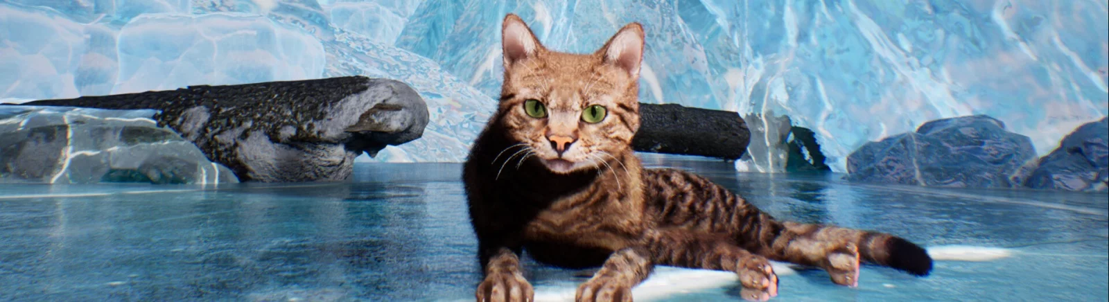 Купить Super Cat Simulator дешево, скидки до 90% 🏷️, сравнение цен в разных магазинах