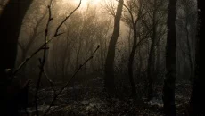 Content Warning похожа на Content Warning