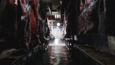 Mia's Hunt - дата выхода для PC