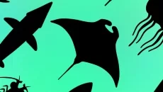 Idle Aquaria: Ocean Evolution - дата выхода для iOS