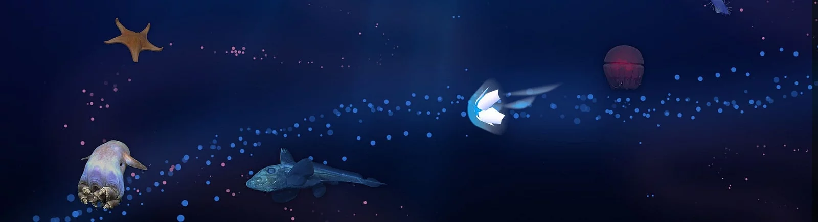 FathomVerse — системные требования и проверка ПК: минимальные и рекомендуемые требования игры