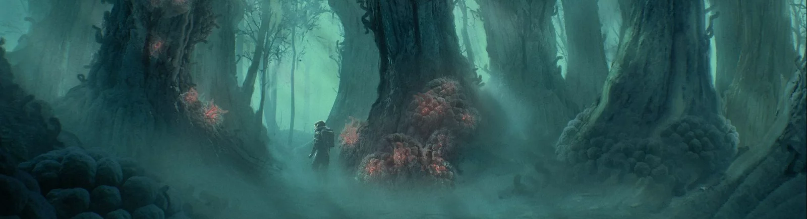 Купить Regeneration дешево, скидки до 90% 🏷️, сравнение цен в разных магазинах