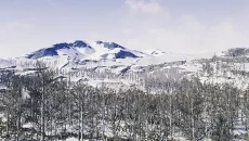 Stranded Deep похожа на Stranded Deep