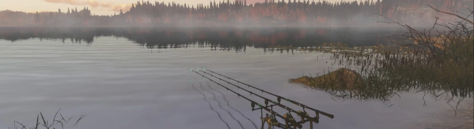 Все отзывы и оценки Fisher Online — 1 мнение