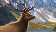 Cascadia - дата выхода для Mac