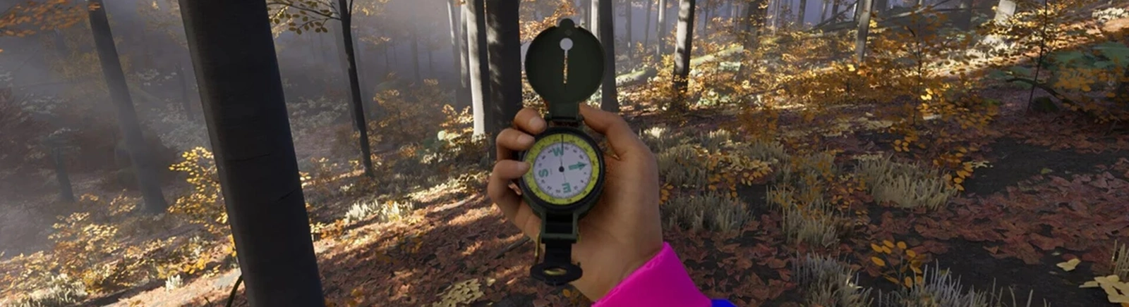 Дата выхода Prologue: Go Wayback! в разных странах мира