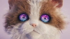 Catly - дата выхода для Nintendo Switch