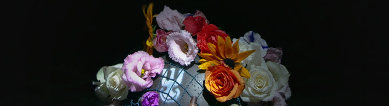 Дата выхода Restless Grounds в разных странах мира