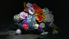 Restless Grounds - дата выхода для PC