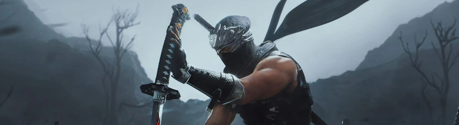 Файлы для Ninja Gaiden 2 Black - трейнеры, моды, сохранения, патчи