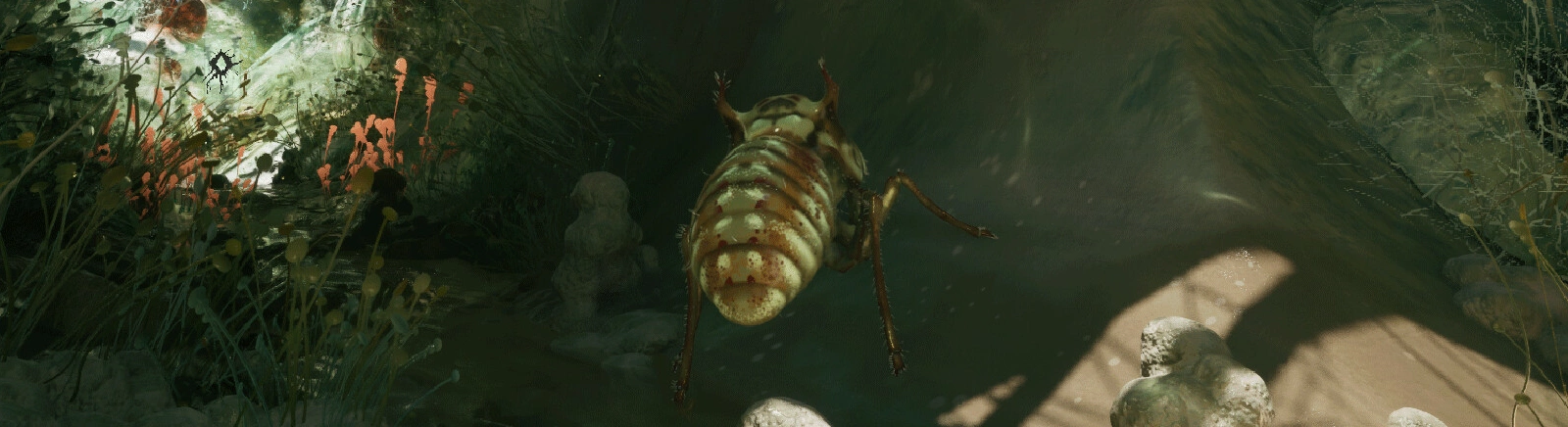 Дата выхода MOLD в разных странах мира