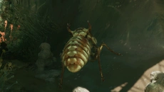 MOLD - дата выхода для PC