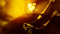 Still Wakes the Deep похожа на Still Wakes the Deep