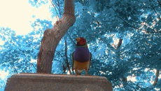 Wanderness - дата выхода для Mac