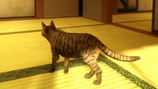 Still It Runs - дата выхода для PC