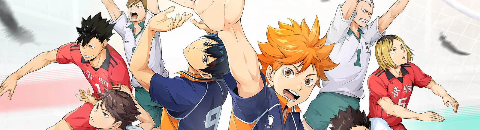 Дата выхода HAIKYU!! FLY HIGH в разных странах мира