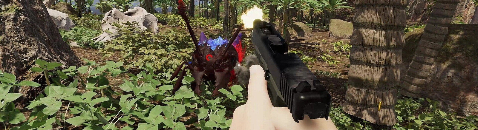 Дата выхода Island Notes в разных странах мира