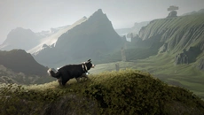 The Free Shepherd - дата выхода