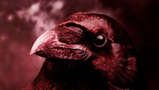 The Deed: Dynasty - дата выхода для PC