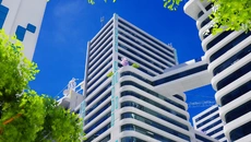 PANLINE - дата выхода