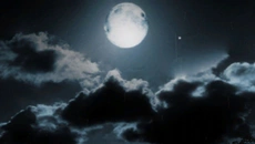 Chamber Survival - дата выхода для PC