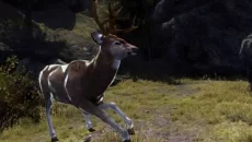 Cabela's Big Game Hunter 2012 - дата выхода для Wii
