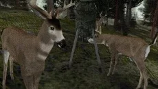Cabela's Ultimate Deer Hunt 2 - дата выхода для PC