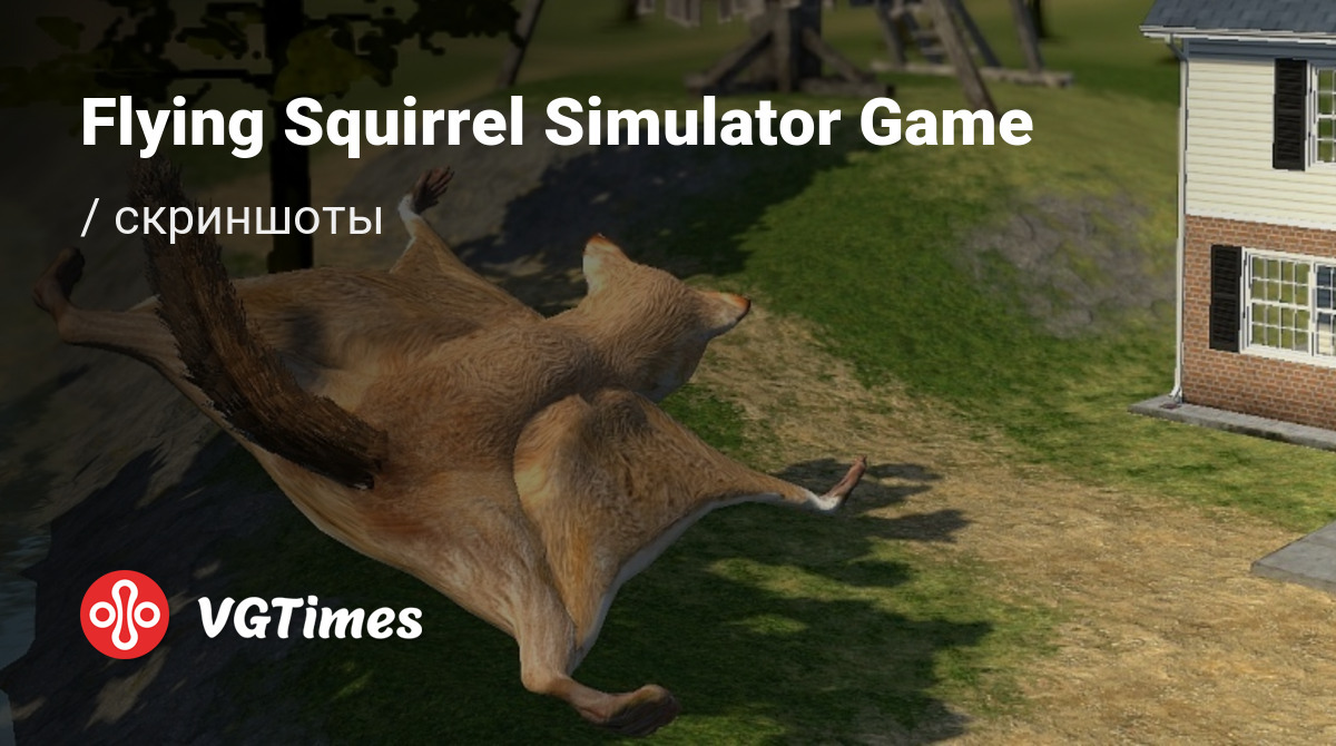 Скриншоты Flying Squirrel Simulator Game - всего 5 картинок из игры